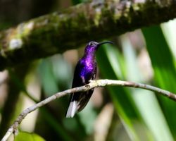 Belize -Nature and Culture